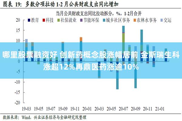 哪里股票融资好 创新药概念股涨幅居前 金斯瑞生科涨超12%再鼎医药涨逾10%