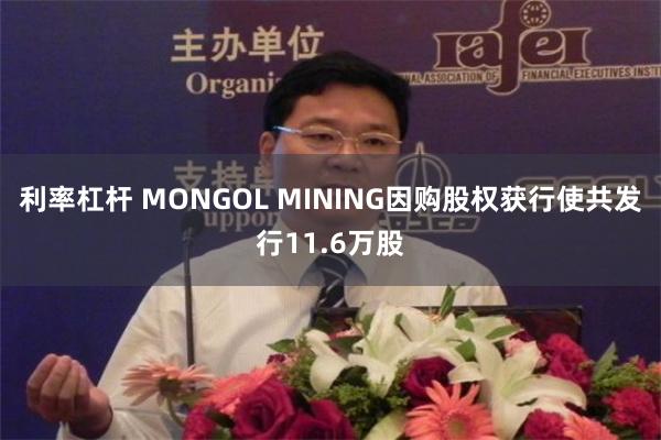 利率杠杆 MONGOL MINING因购股权获行使共发行11.6万股