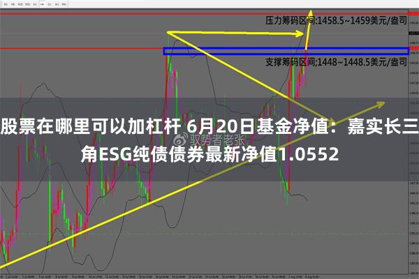 股票在哪里可以加杠杆 6月20日基金净值：嘉实长三角ESG纯债债券最新净值1.0552