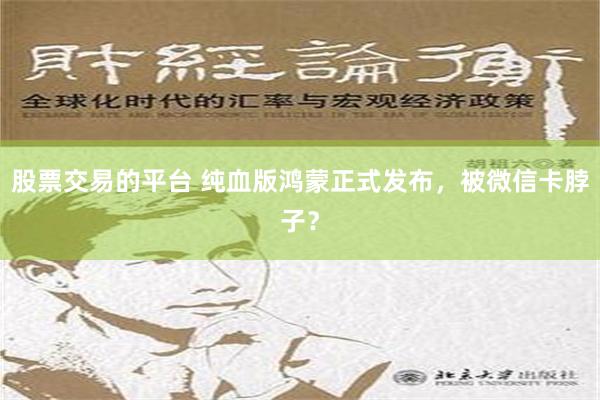 股票交易的平台 纯血版鸿蒙正式发布，被微信卡脖子？