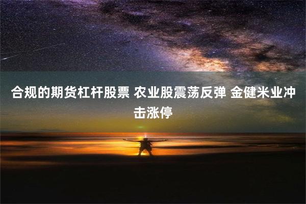 合规的期货杠杆股票 农业股震荡反弹 金健米业冲击涨停