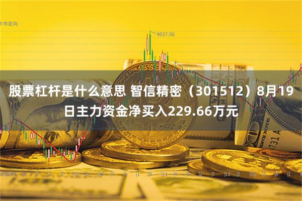 股票杠杆是什么意思 智信精密（301512）8月19日主力资金净买入229.66万元