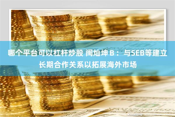 哪个平台可以杠杆炒股 闽灿坤Ｂ：与SEB等建立长期合作关系以拓展海外市场