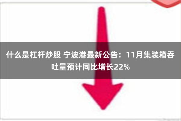 什么是杠杆炒股 宁波港最新公告：11月集装箱吞吐量预计同比增长22%