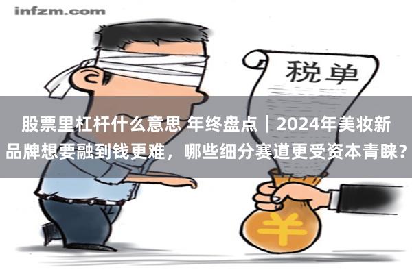 股票里杠杆什么意思 年终盘点｜2024年美妆新品牌想要融到钱更难，哪些细分赛道更受资本青睐？